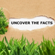 Fun Lawn and Landscape Facts