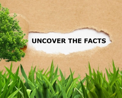 Fun Lawn and Landscape Facts