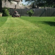 Mowing Fast Growing Bermuda Grass