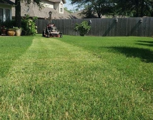 Mowing Fast Growing Bermuda Grass