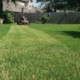 Mowing Fast Growing Bermuda Grass