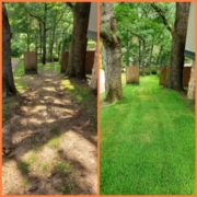 Before and After Sod Installation (6)