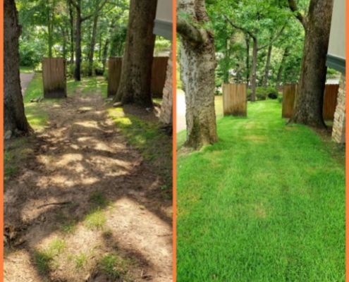 Before and After Sod Installation (6)