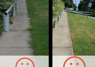 Before and After Grass Edging