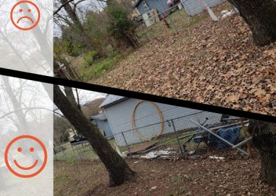 Before and After Leaf Removal