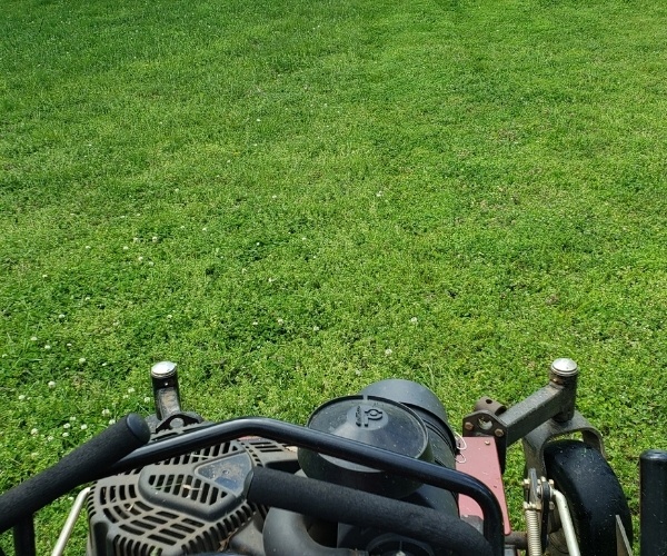 A Riverview Turfworks employee in the process of mowing thick and green grass.